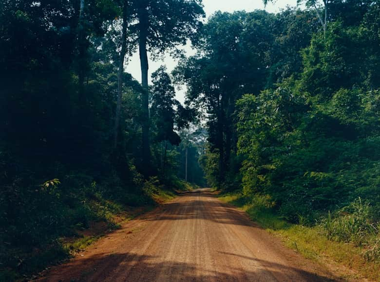VEJA PROJECT - Amazonia