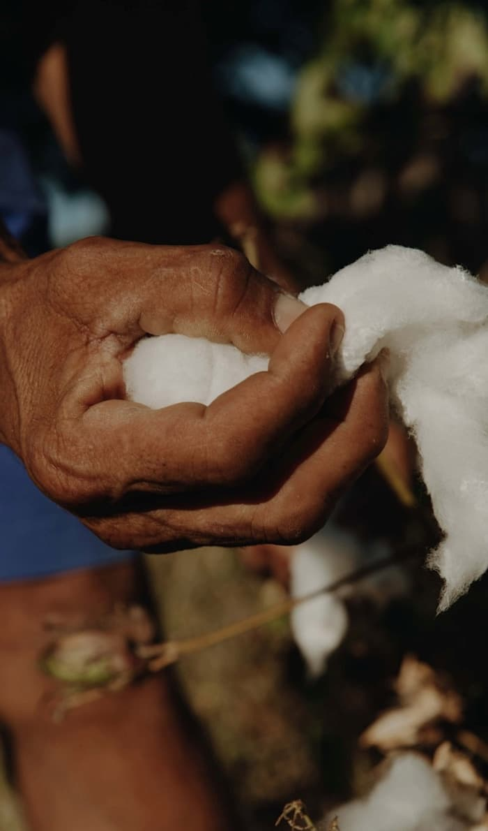 Cotton